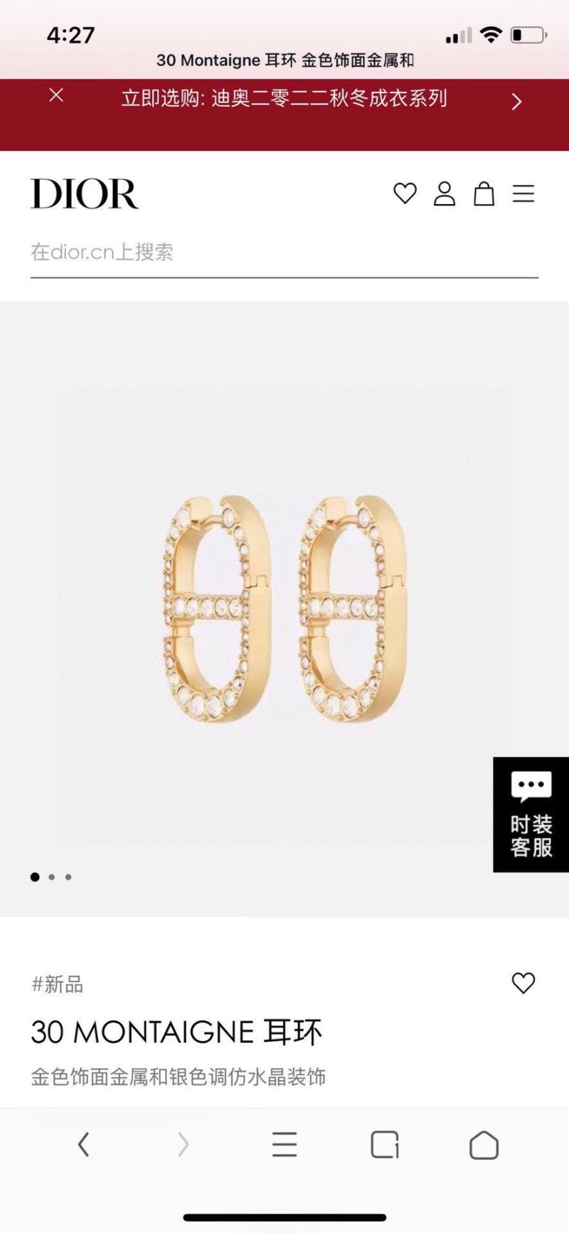 Christian Dior Earrings